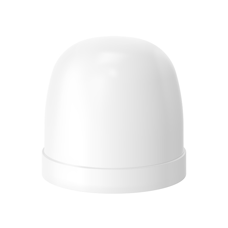 SG-CAP(PLUG)
